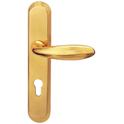 Brass Handle with Plate